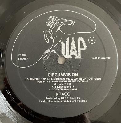 Circumvision